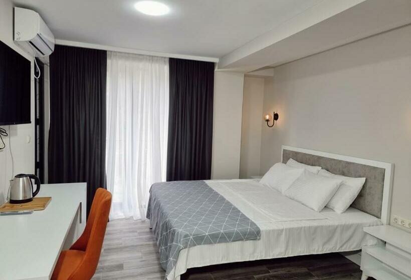 اتاق استاندارد با تخت بزرگ, Picasso