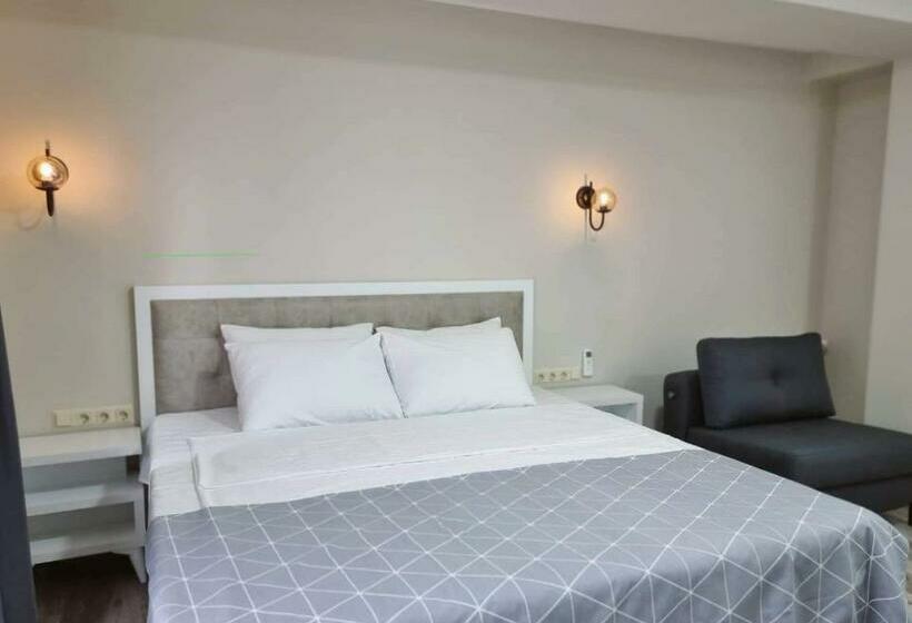 اتاق استاندارد با تخت بزرگ, Picasso