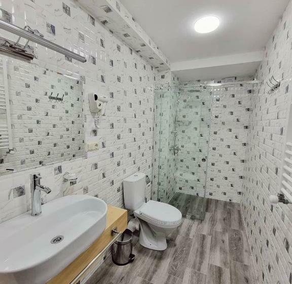 اتاق استاندارد با تخت بزرگ, Picasso