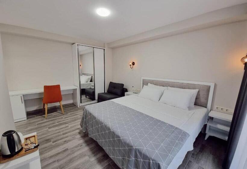 اتاق استاندارد با تخت بزرگ, Picasso