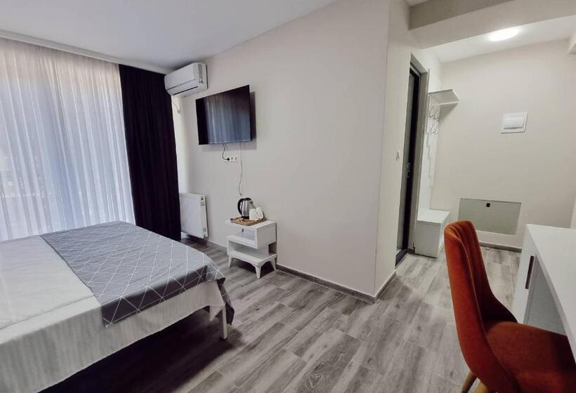 اتاق استاندارد با تخت بزرگ, Picasso