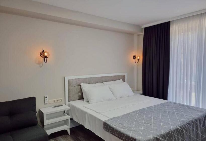 اتاق استاندارد با تخت بزرگ, Picasso