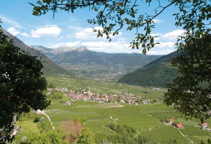 غرفة قياسية, Schoenleithof