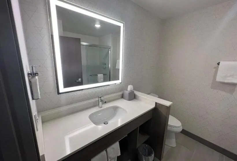 キングサイズベッドのスイートルーム, Holiday Inn Express & Suites   Tomah, An Ihg