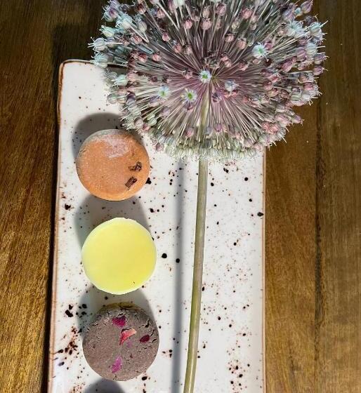 주니어 스위트, El Jardin De Las Magnolias