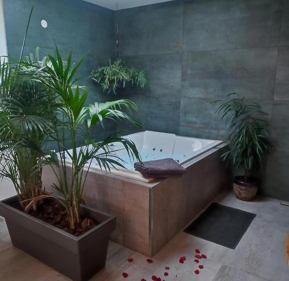 חדר סטנדרט עם ג'קוזי, Detente De La Lys