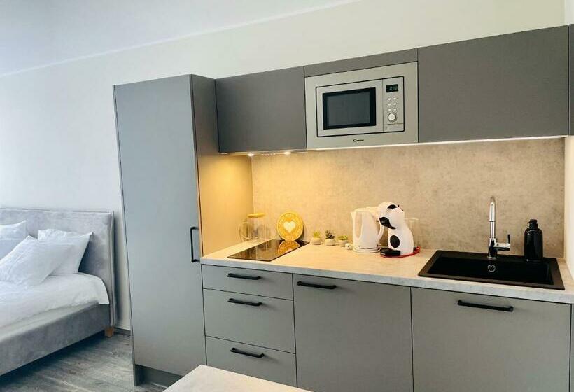 استودیو استاندارد با بالکن, Apartement Aisa