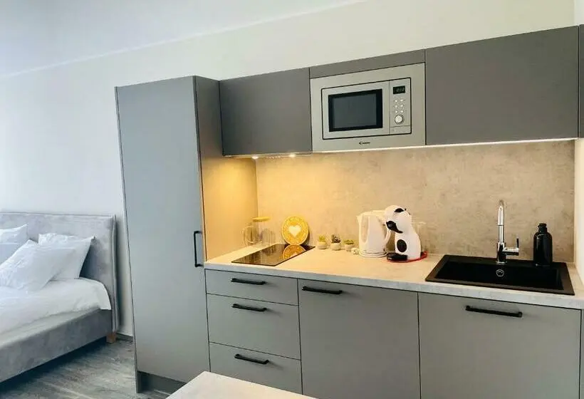 استودیو استاندارد با بالکن, Apartement Aisa