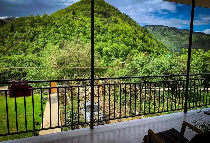 اتاق لوکس, White House In Borjomi