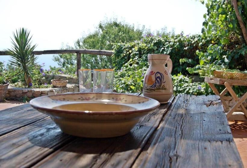 带1个卧室的带阳台的公寓, Trullo Mediterraneo  Santa Maria Di Leuca