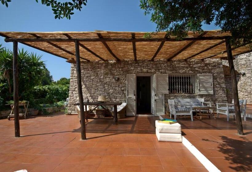 带1个卧室的带阳台的公寓, Trullo Mediterraneo  Santa Maria Di Leuca