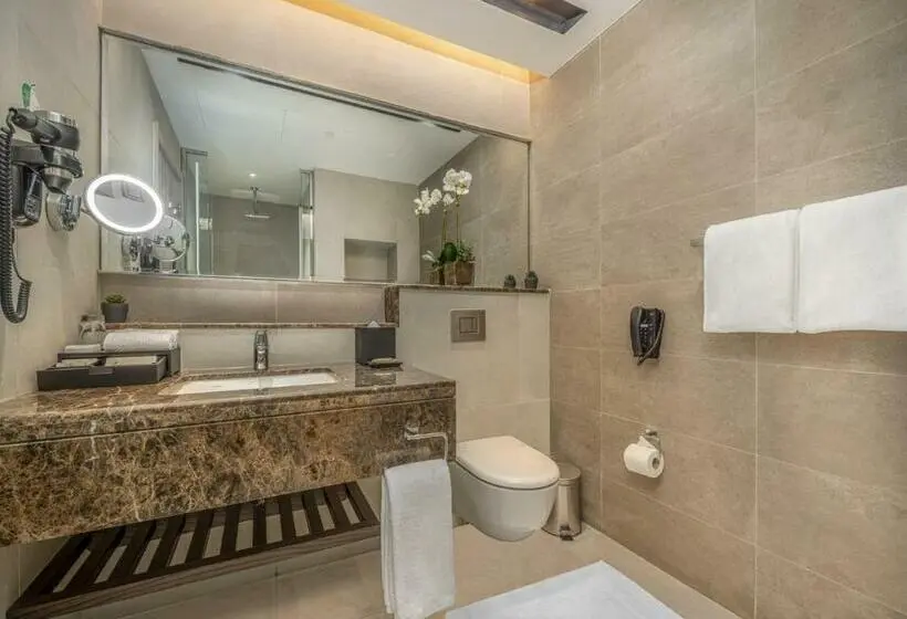 エクゼクティブワンルーム, Citadines Abha