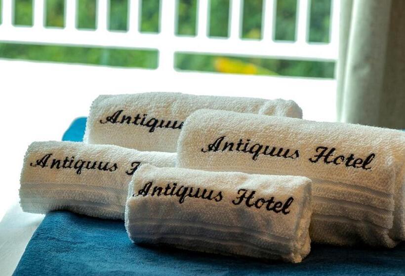 Апартаменты 1 Спальня, Antiquus Apart