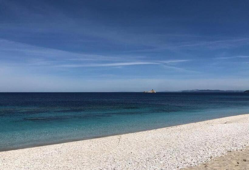 Номер Стандарт Вид на Сад, Bed And Coffee Rooms Portoferraio