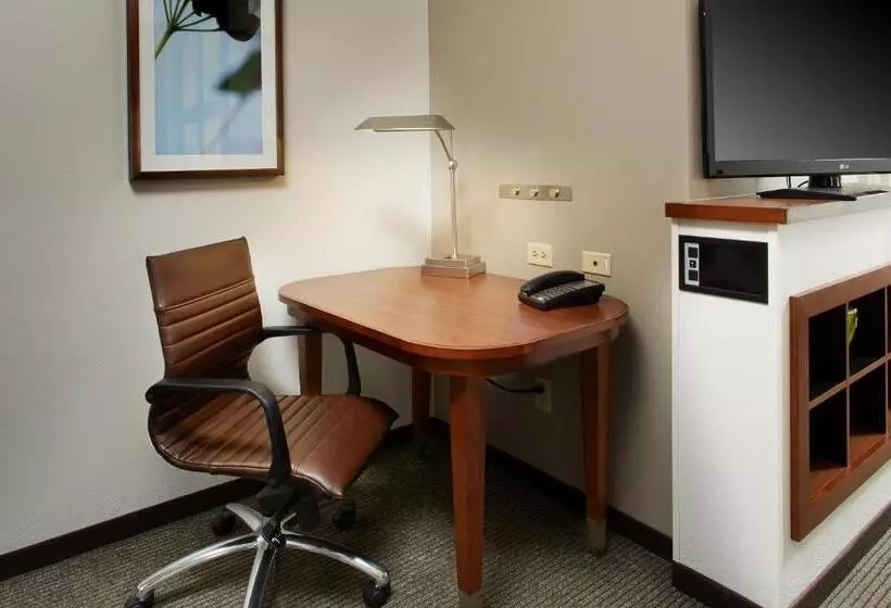 キングサイズベッドのスタンダードルーム, Hyatt Place Grand Rapids South