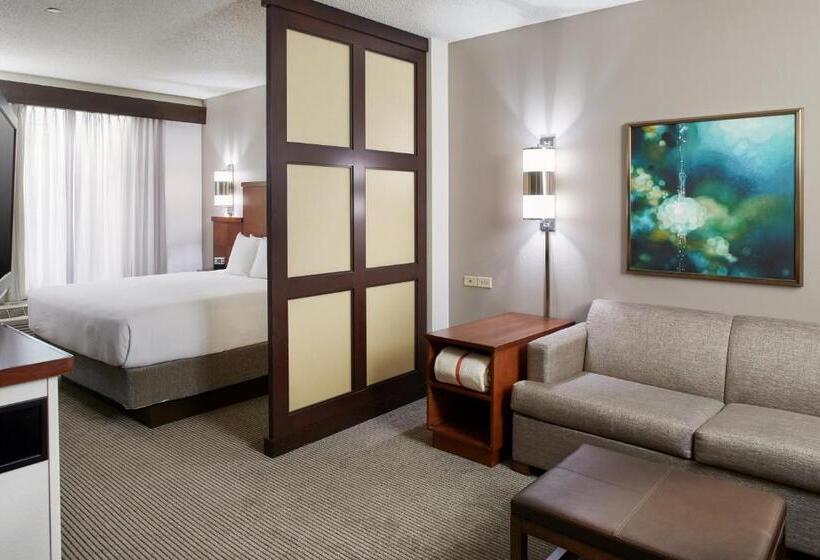 带大床的标准间, Hyatt Place Grand Rapids South