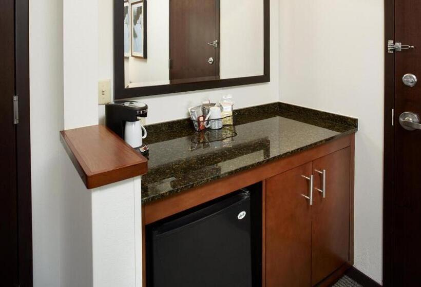 带2个双人床的标准工作室, Hyatt Place Grand Rapids South