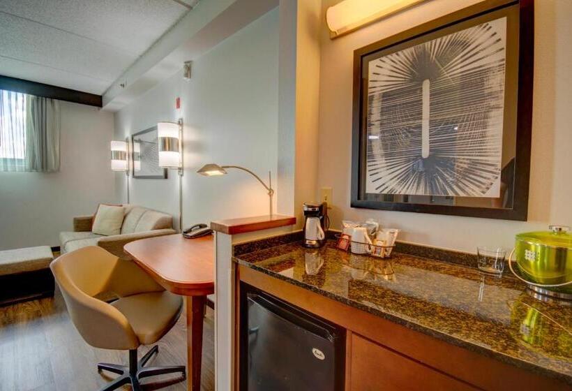 带大床的标准工作室, Hyatt Place Grand Rapids South