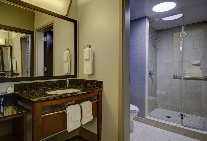 Номер Стандарт 2 Двуспальные Кровати, Hyatt Place Grand Rapids South