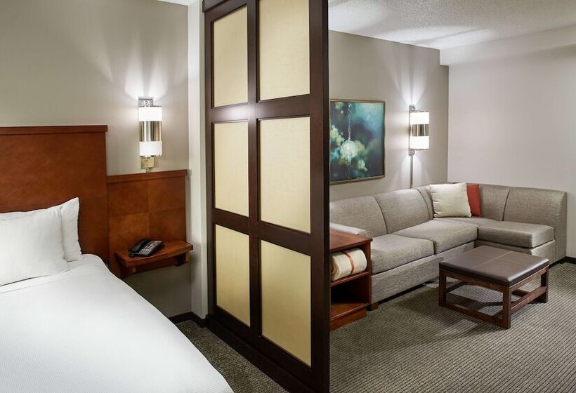 带2个双人床的标准工作室, Hyatt Place Grand Rapids South