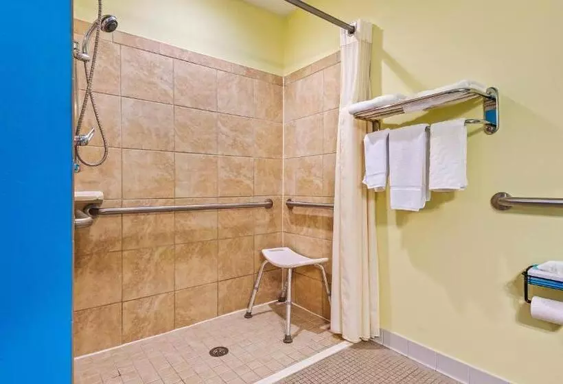身障者適用クイーンサイズベッドルーム, Magnuson Hotel Wildwood Inn Crawfordville