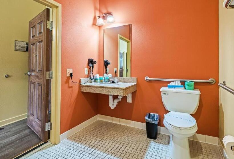 غرفة قياسية سرير كينج لذوى الإحتياجات الخاصة, Magnuson Hotel Wildwood Inn Crawfordville