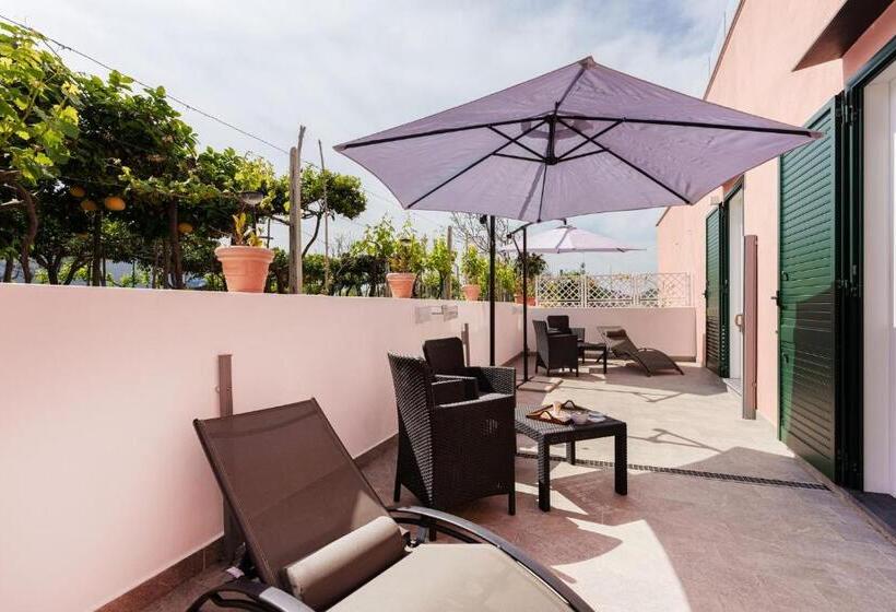 اتاق استاندارد, Le Rondinelle Rooms