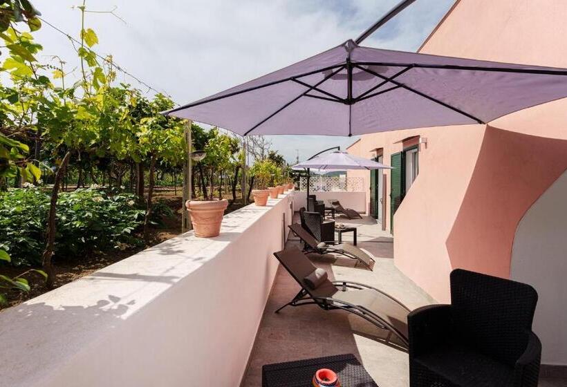 اتاق استاندارد با چشمانداز باغ, Le Rondinelle Rooms