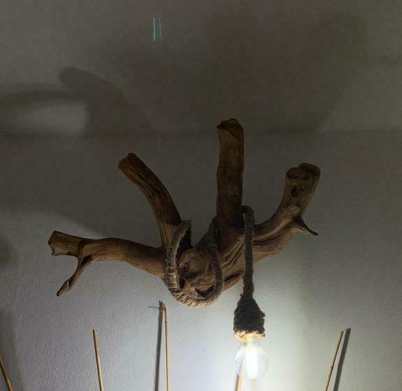 غرفة قياسية, Steddueoro