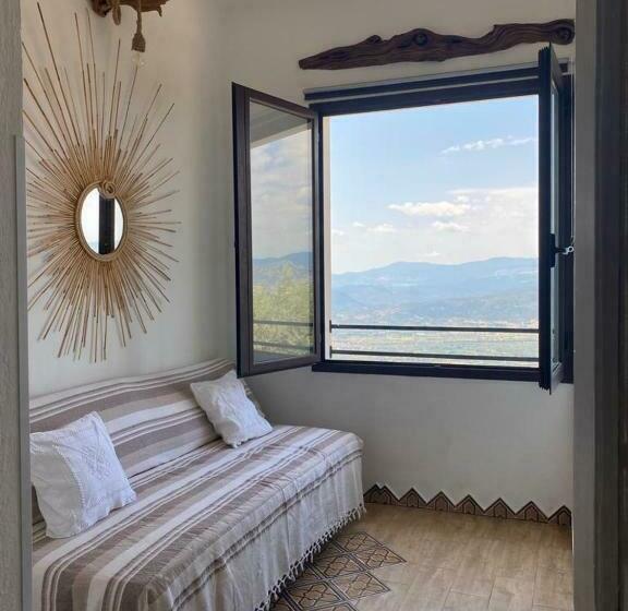 Номер Стандарт, Steddueoro