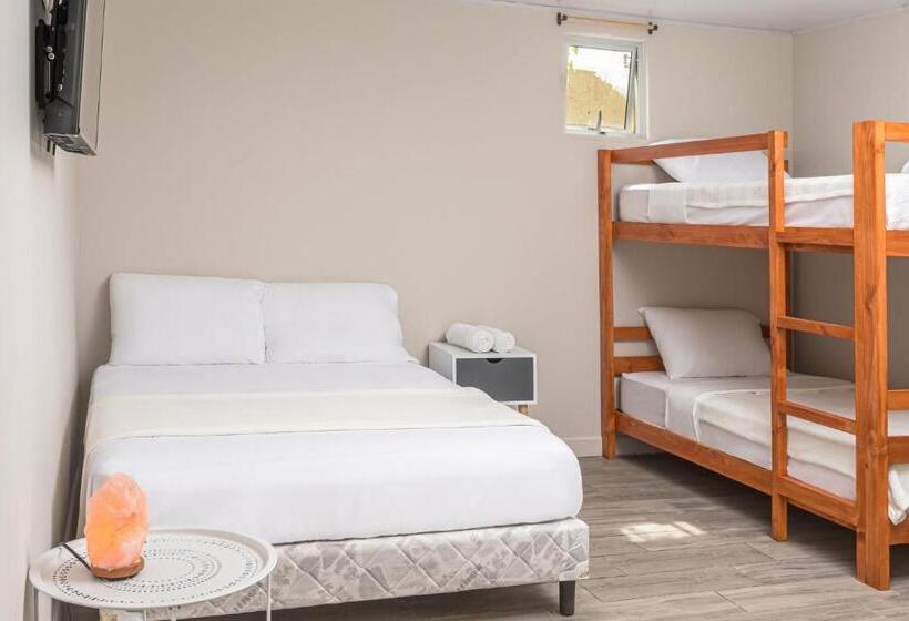 اتاق لوکس سه تخته, Otoya 1907