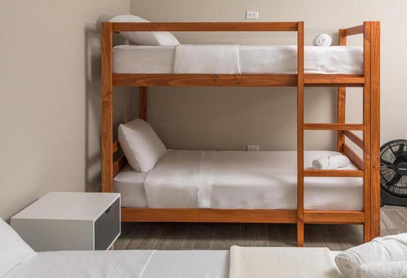 اتاق لوکس سه تخته, Otoya 1907