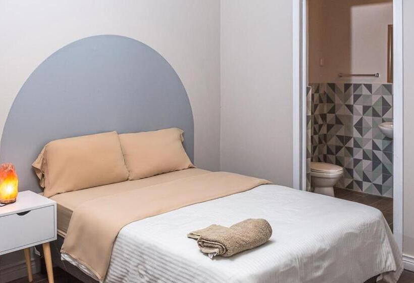 اتاق اکونومی, Otoya 1907