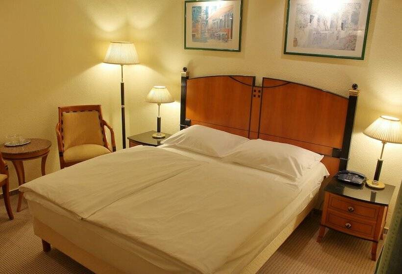 싱글 기본룸, Central