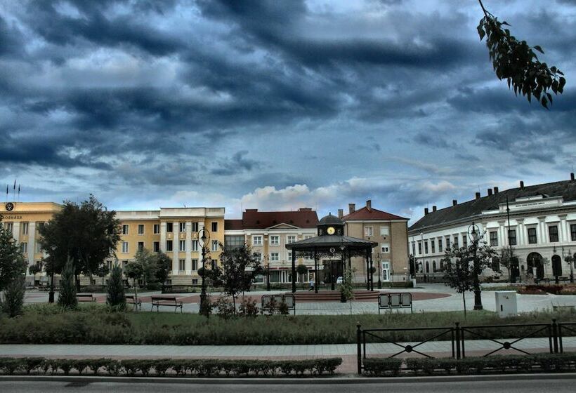 Одноместный Номер Basic, Central