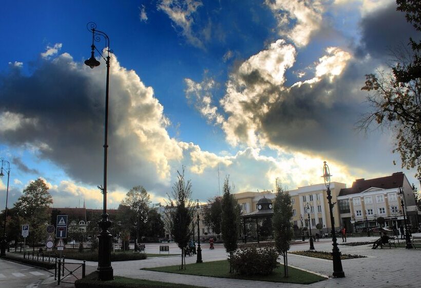 싱글 기본룸, Central