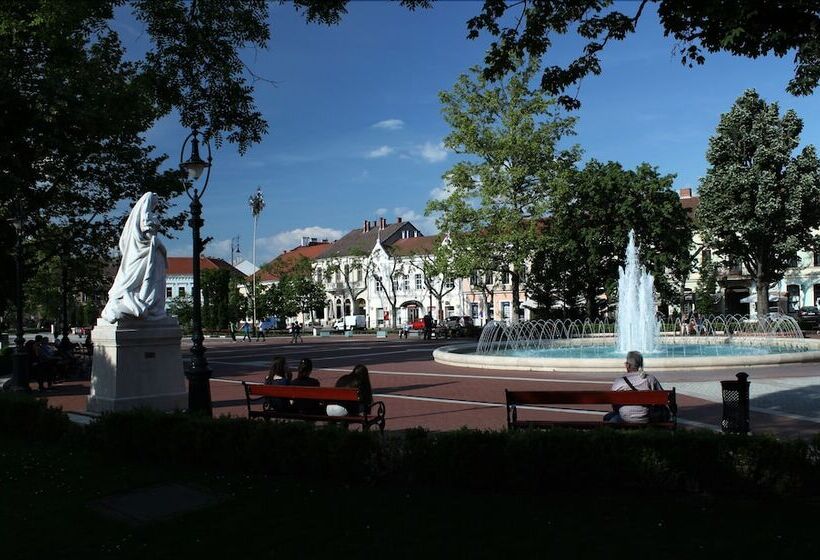 Одноместный Номер Basic, Central