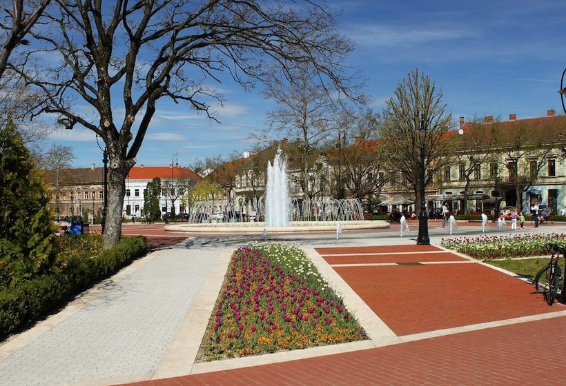 싱글 기본룸, Central