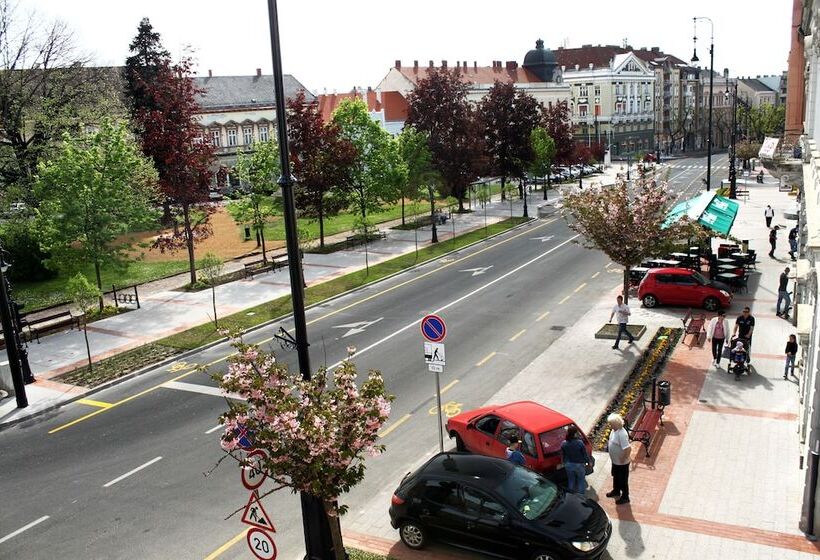 싱글 기본룸, Central