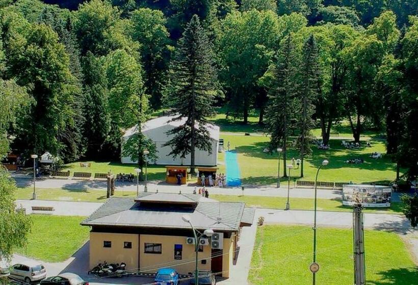 Номер Стандарт Индивидуальный, Flóra