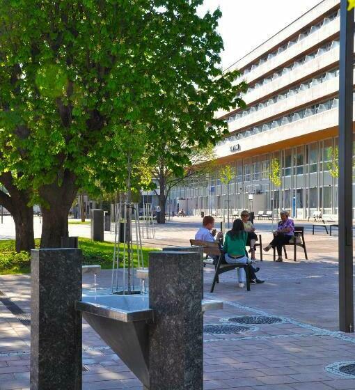 Номер Стандарт Индивидуальный, Flóra