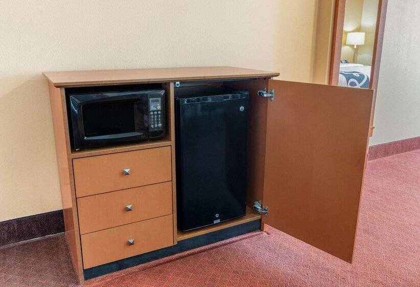 デラックススイート, La Quinta By Wyndham Hobbs