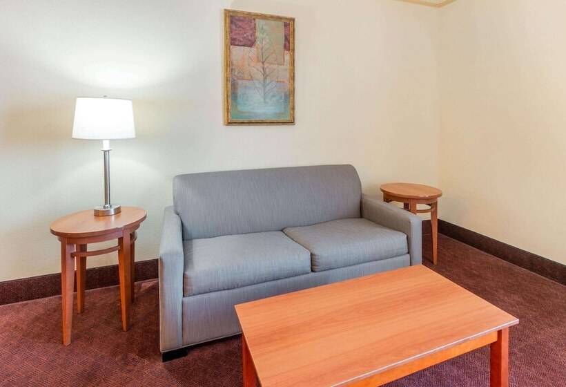 デラックススイート, La Quinta By Wyndham Hobbs