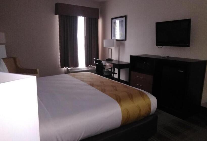 스탠다드 룸 킹사이즈 침대, Quality Inn & Suites