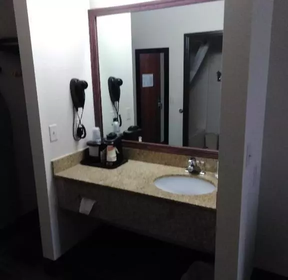 キングサイズベッドのスタンダードルーム, Quality Inn & Suites