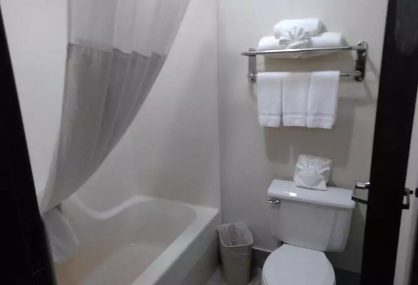 キングサイズベッドのスイートルーム, Quality Inn & Suites
