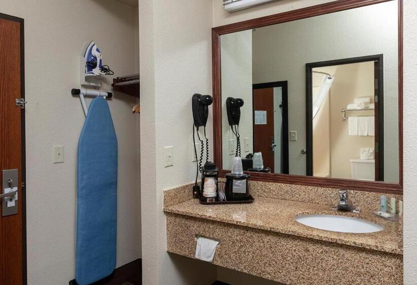장애인을 위한 킹사이즈 침대 스탠다드 룸, Quality Inn & Suites