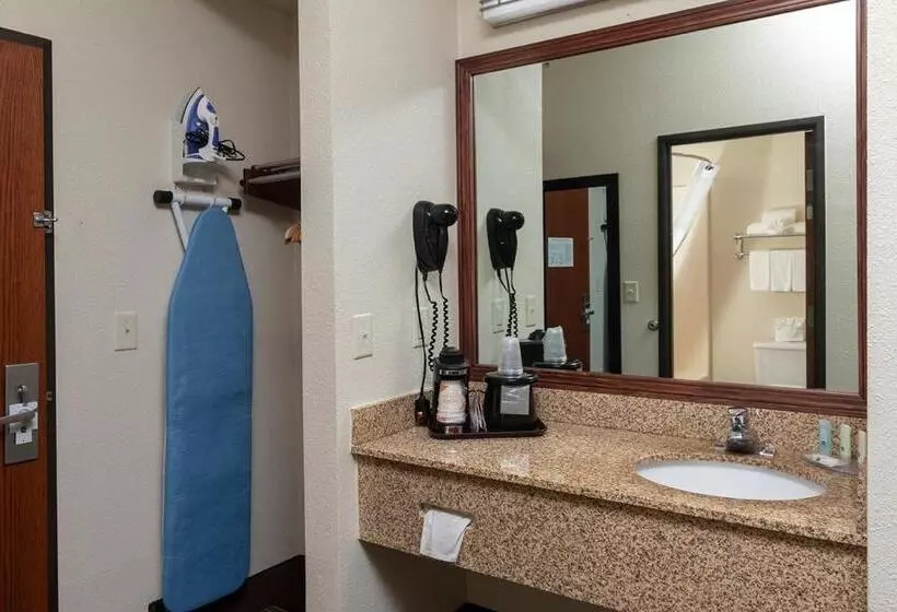 身障者適用キングサイズベッドルーム, Quality Inn & Suites
