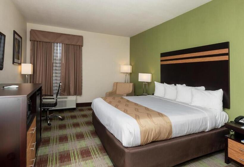 غرفة قياسية سرير كينج لذوى الإحتياجات الخاصة, Quality Inn & Suites