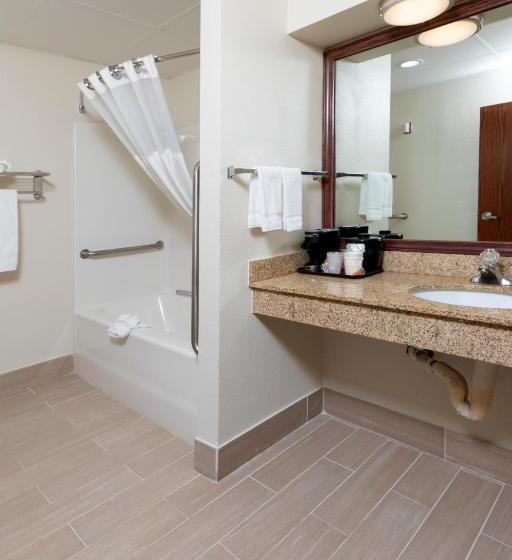 غرفة قياسية سرير كينج لذوى الإحتياجات الخاصة, Quality Inn & Suites